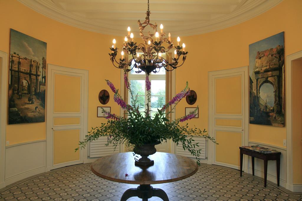 Chateau De La Marronniere Aizenay Εξωτερικό φωτογραφία